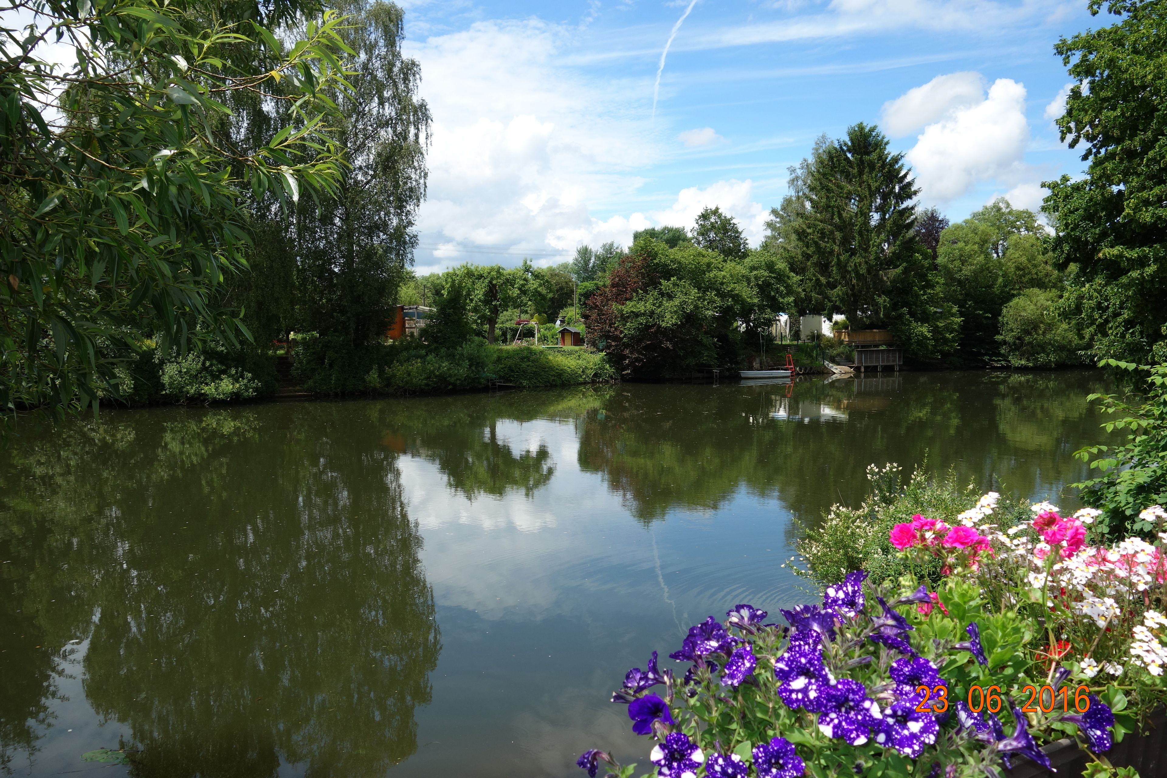 Un río tranquilo con reflejos de árboles y un cielo despejado.
