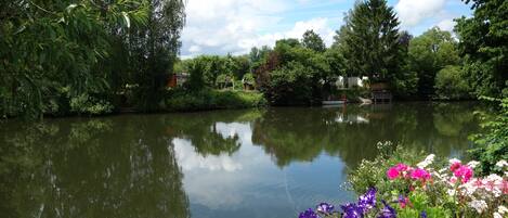 Un río tranquilo con reflejos de árboles y un cielo despejado.