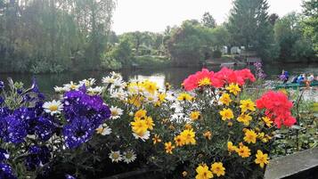 En have med et væld af blomster i fuldt flor.
