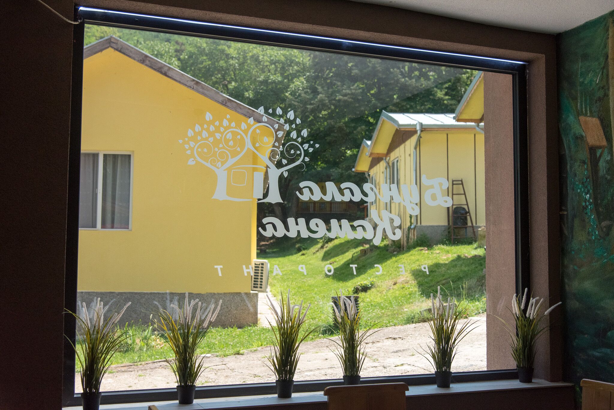 A window with a view of a yellow building and a tree with a heart-shaped design.