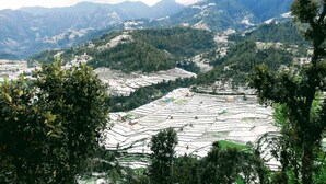 Terraced fields with a mountainous backdrop.