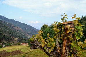 A rural landscape with a tree in the foreground, a hilly background, and a small building in the distance. - Retreat at Damaar (Dhunkharka)