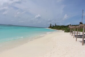 Scuba diving, snorkeling, sailing - The Castaway Retreat (Feridhoo)