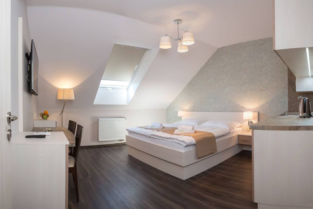 A modern bedroom with a skylight, a bed, a desk, and a kitchenette.