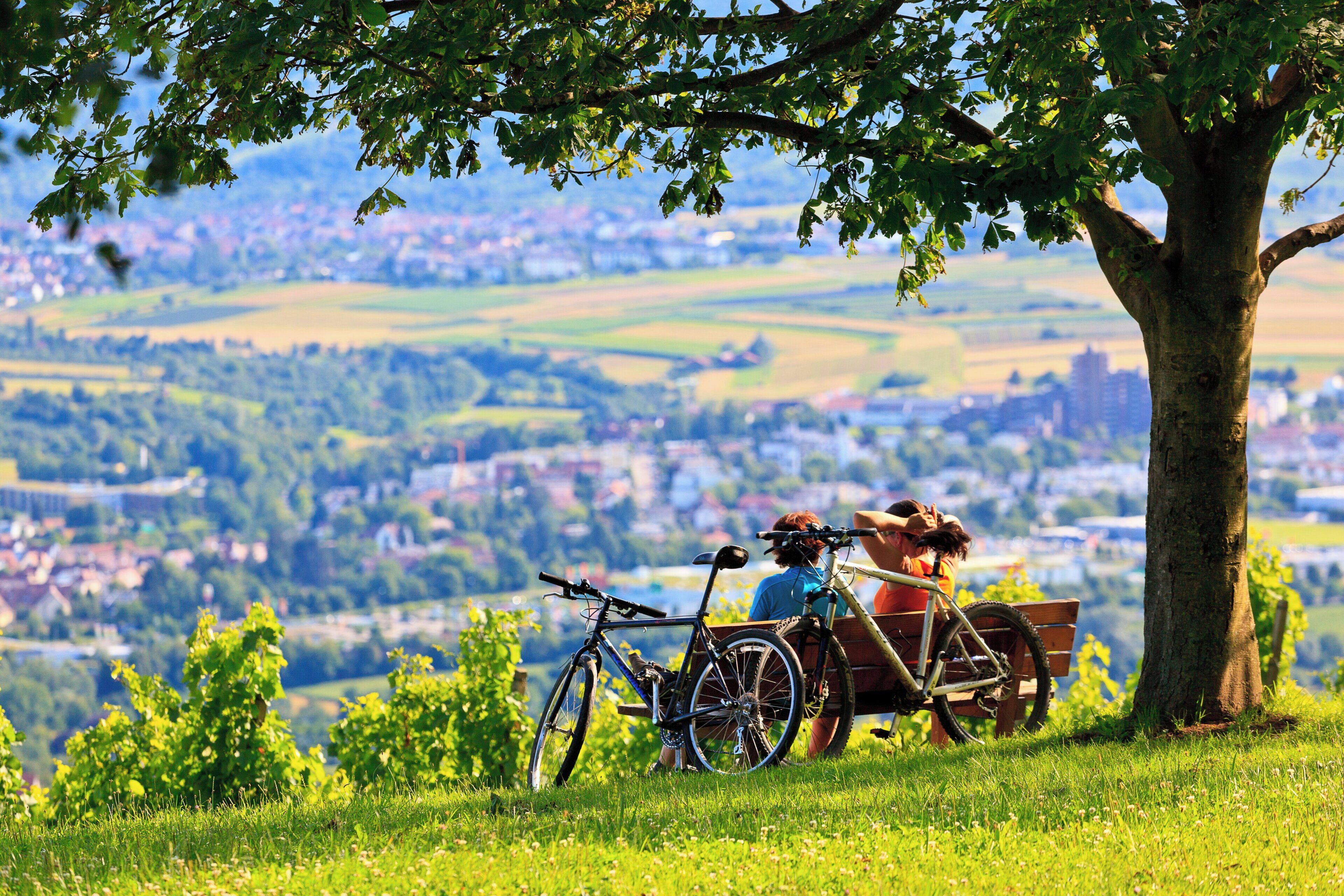 Eine Bank mit dahinter abgestellten Fahrrädern, mit Blick auf eine malerische Landschaft, im Vordergrund ein Baum und Gras.