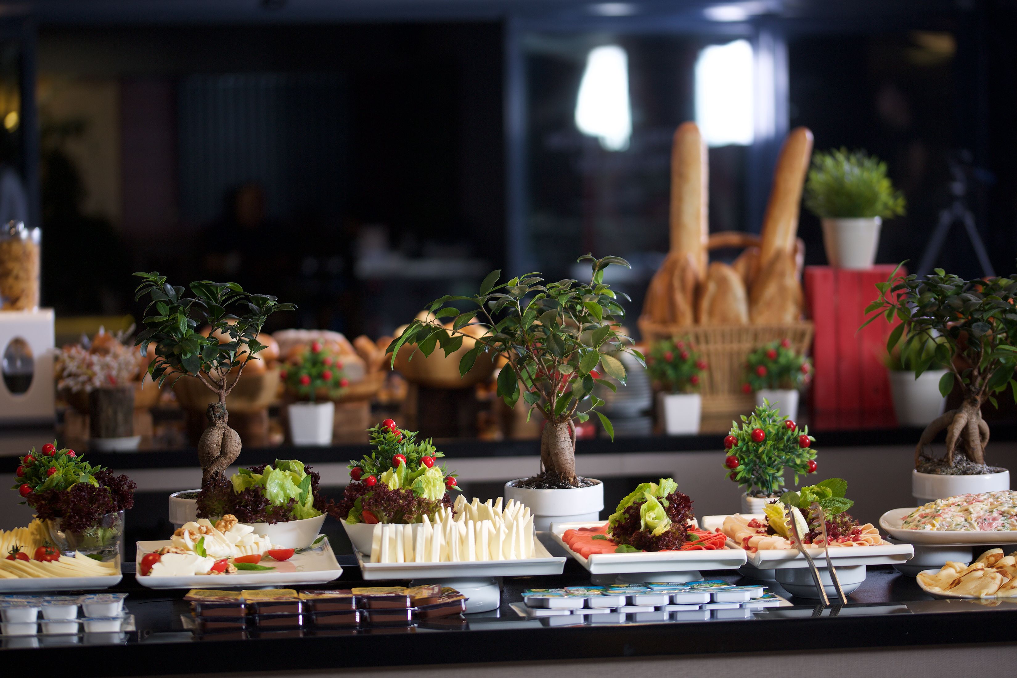 A buffet table with various food items and small potted plants.