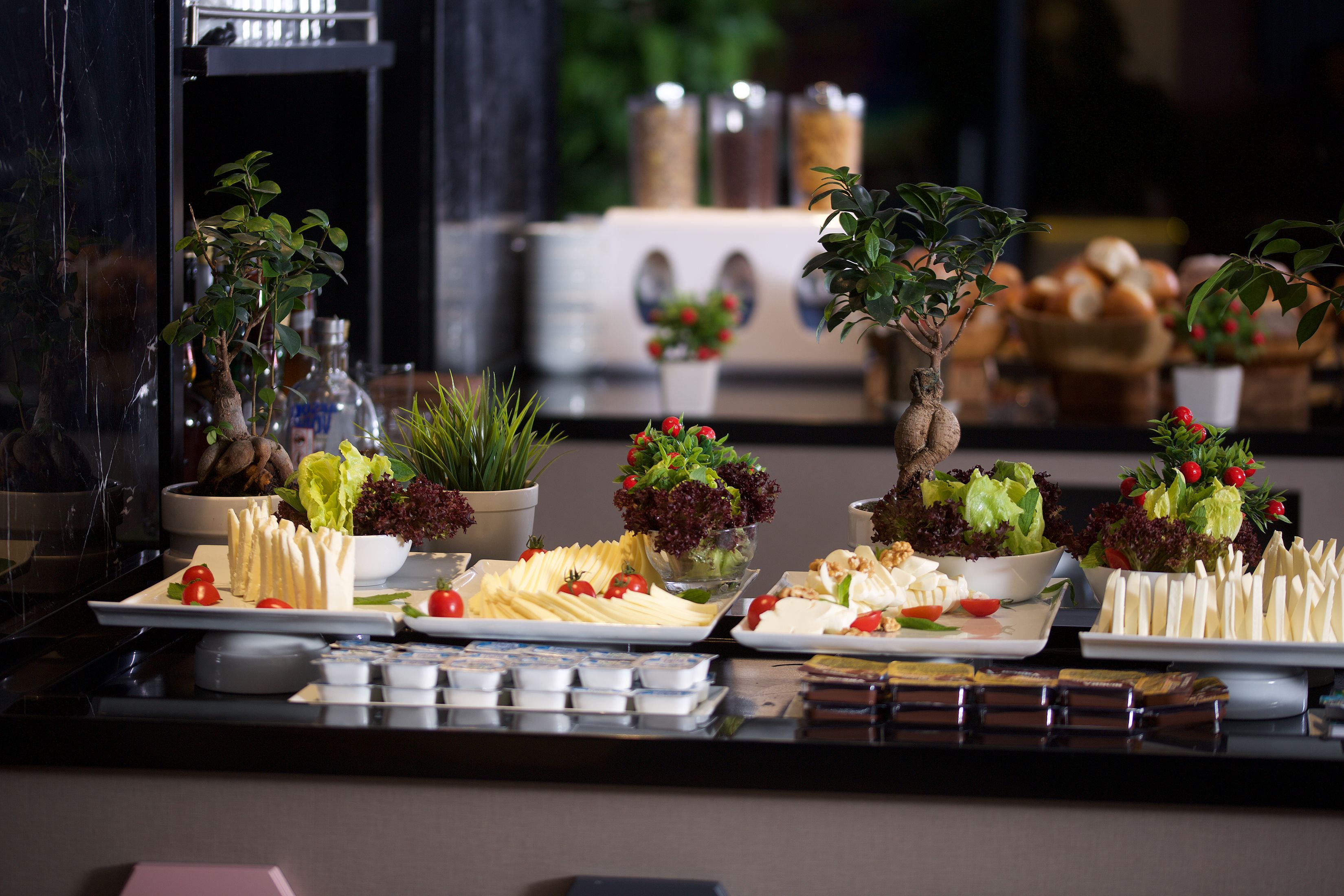 A buffet table with various food items and small potted plants.