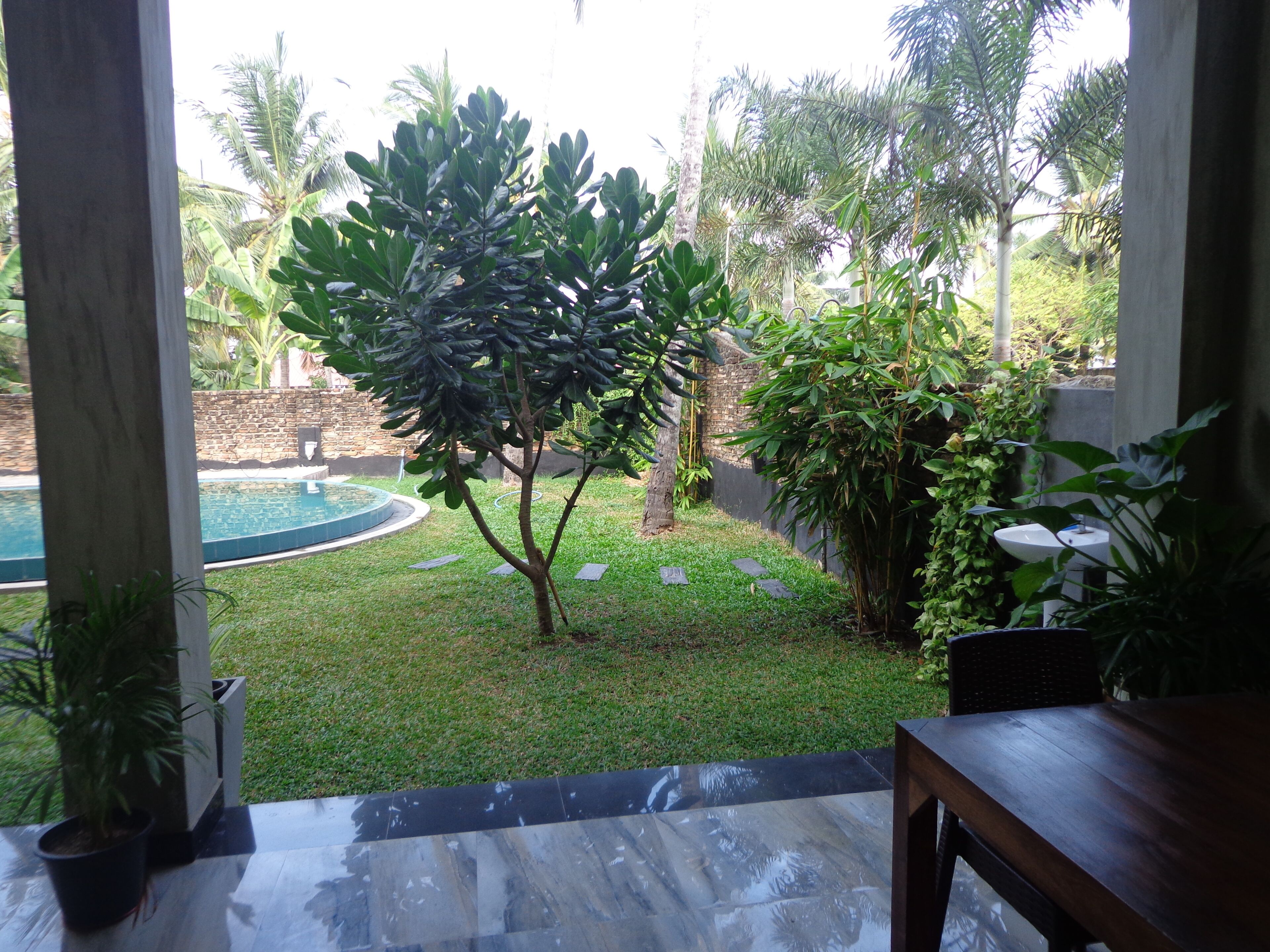 Photo - Hotel Star White - Negombo