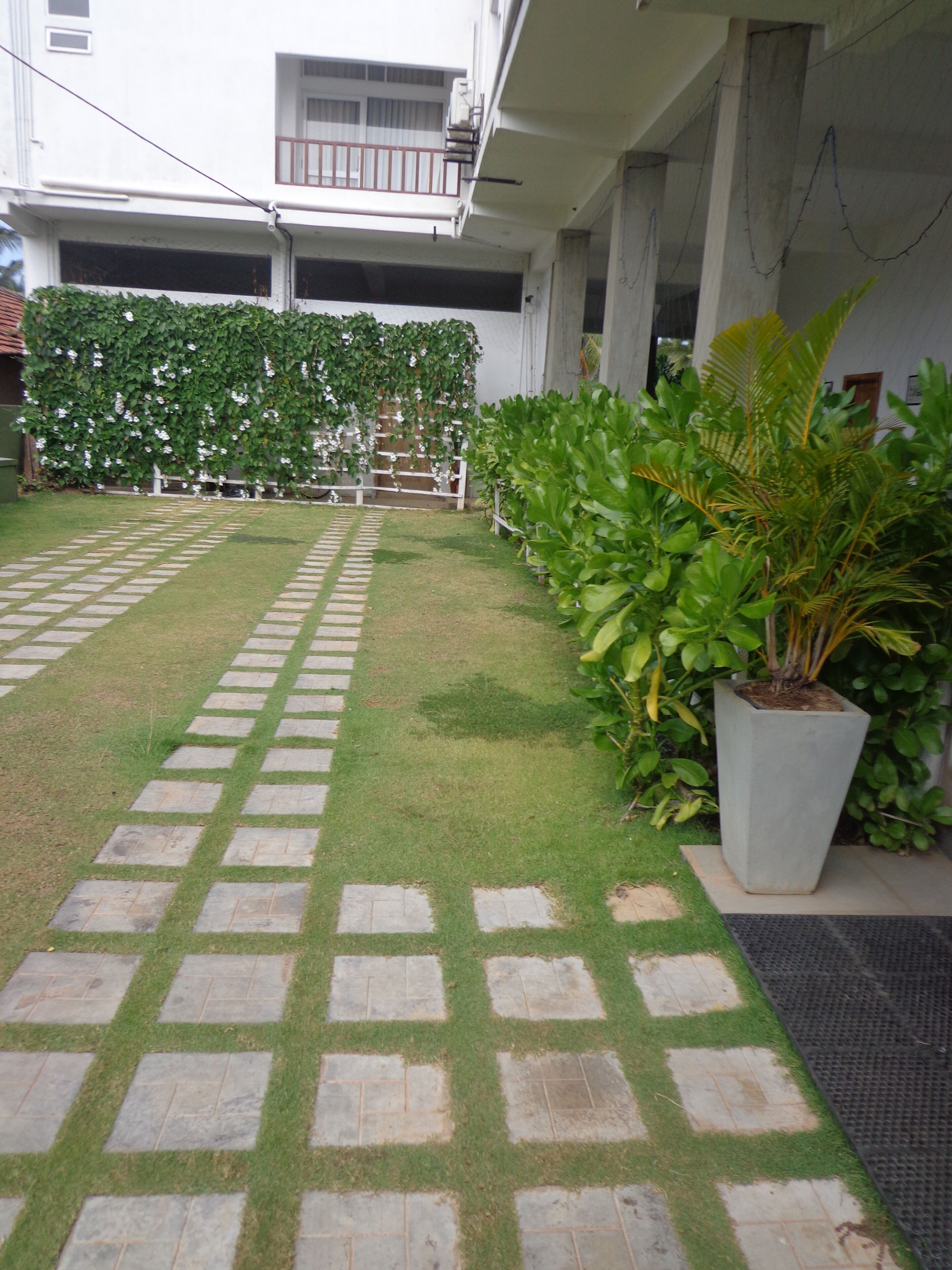 Photo - Hotel Star White Negombo