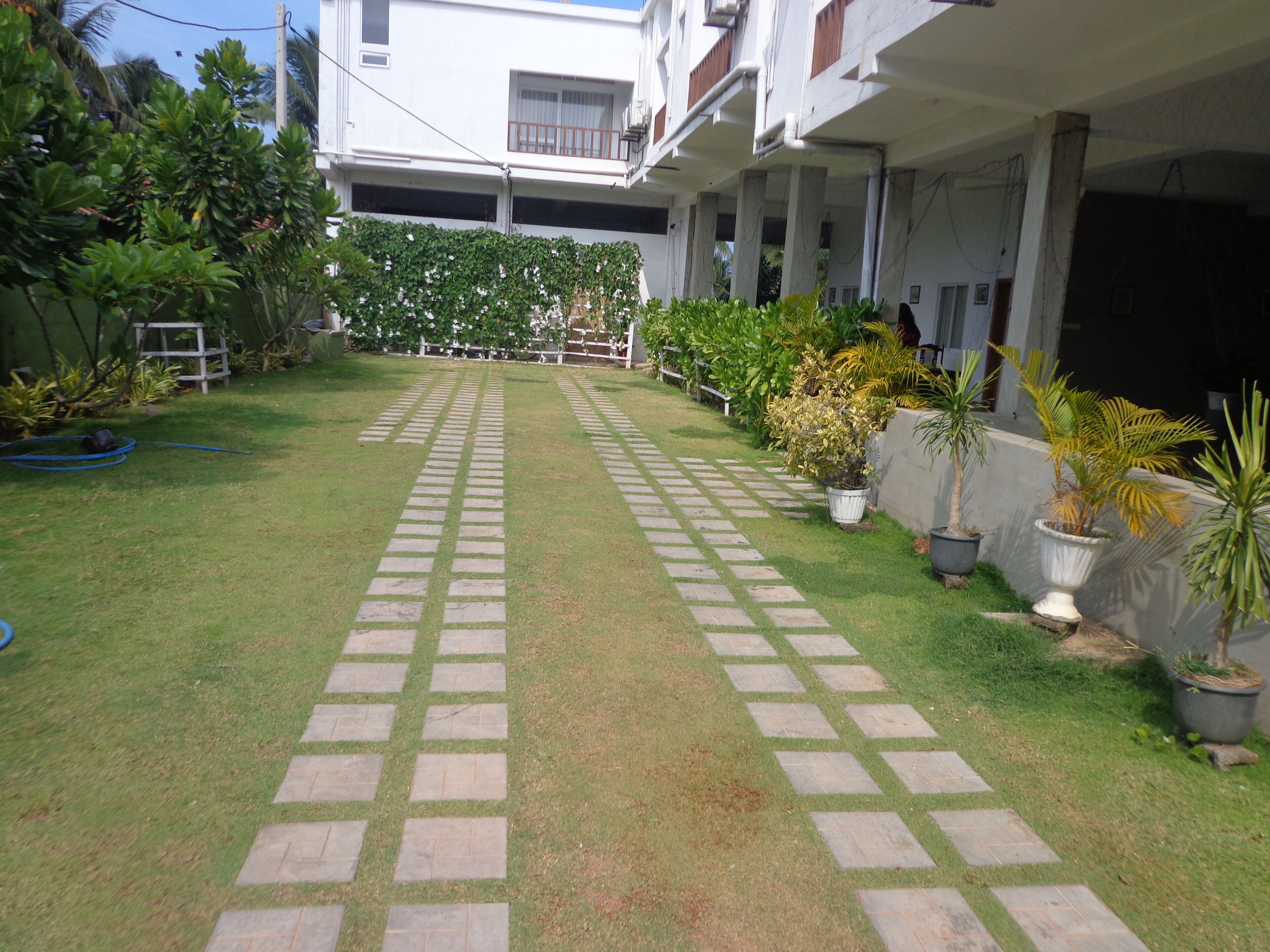 Photo - Hotel Star White Negombo