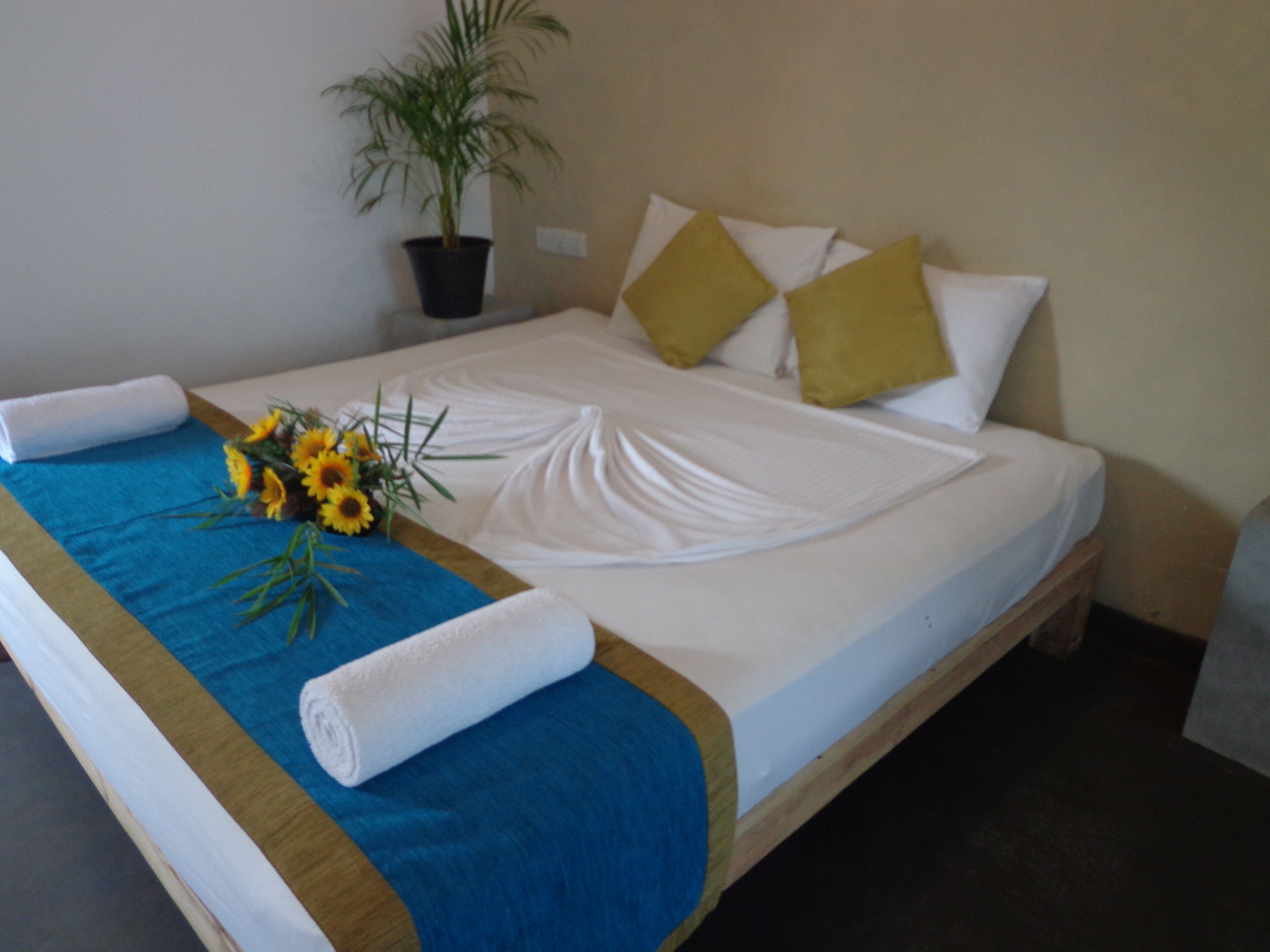 Photo - Hotel Star White - Negombo