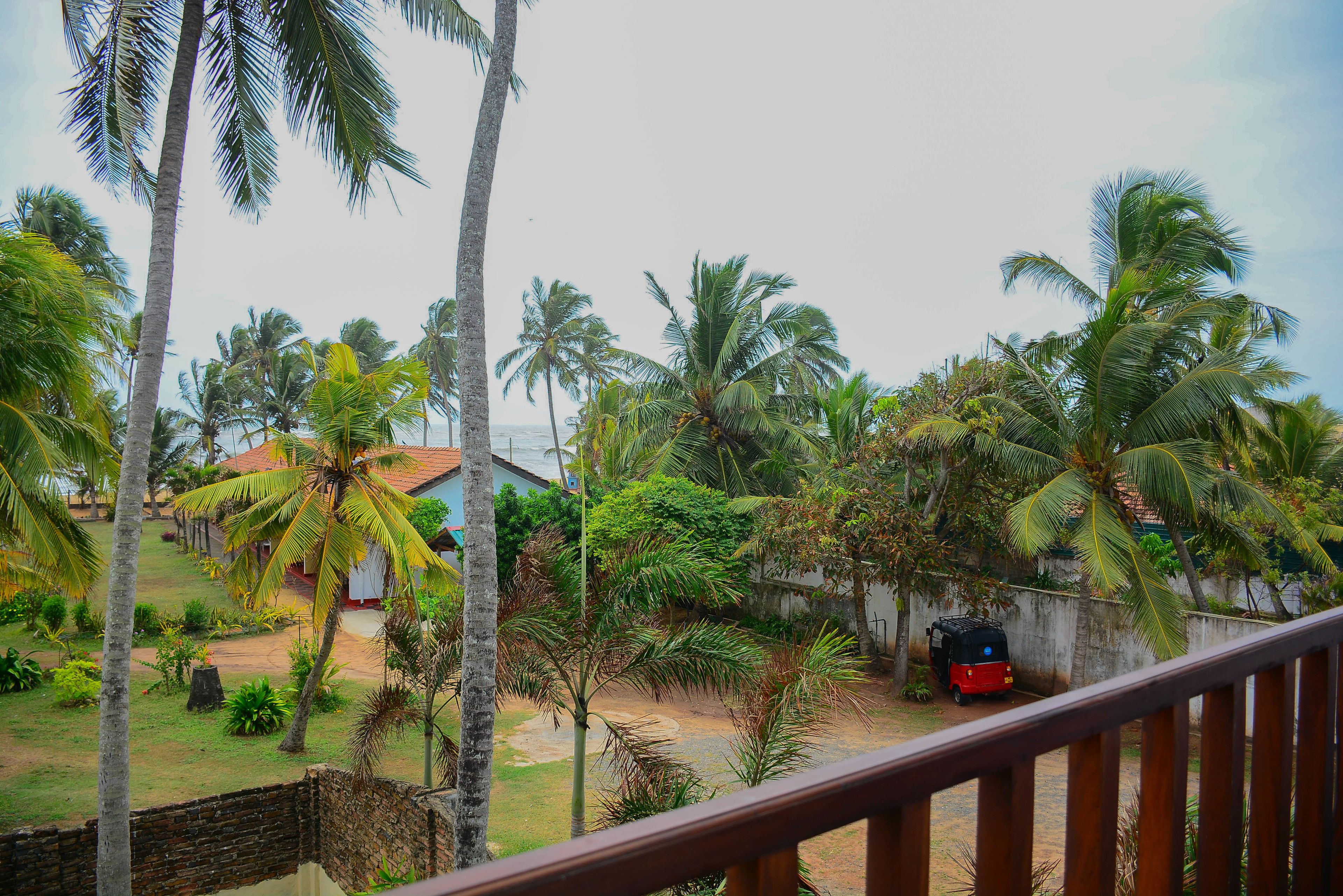 Photo - Hotel Star White - Negombo