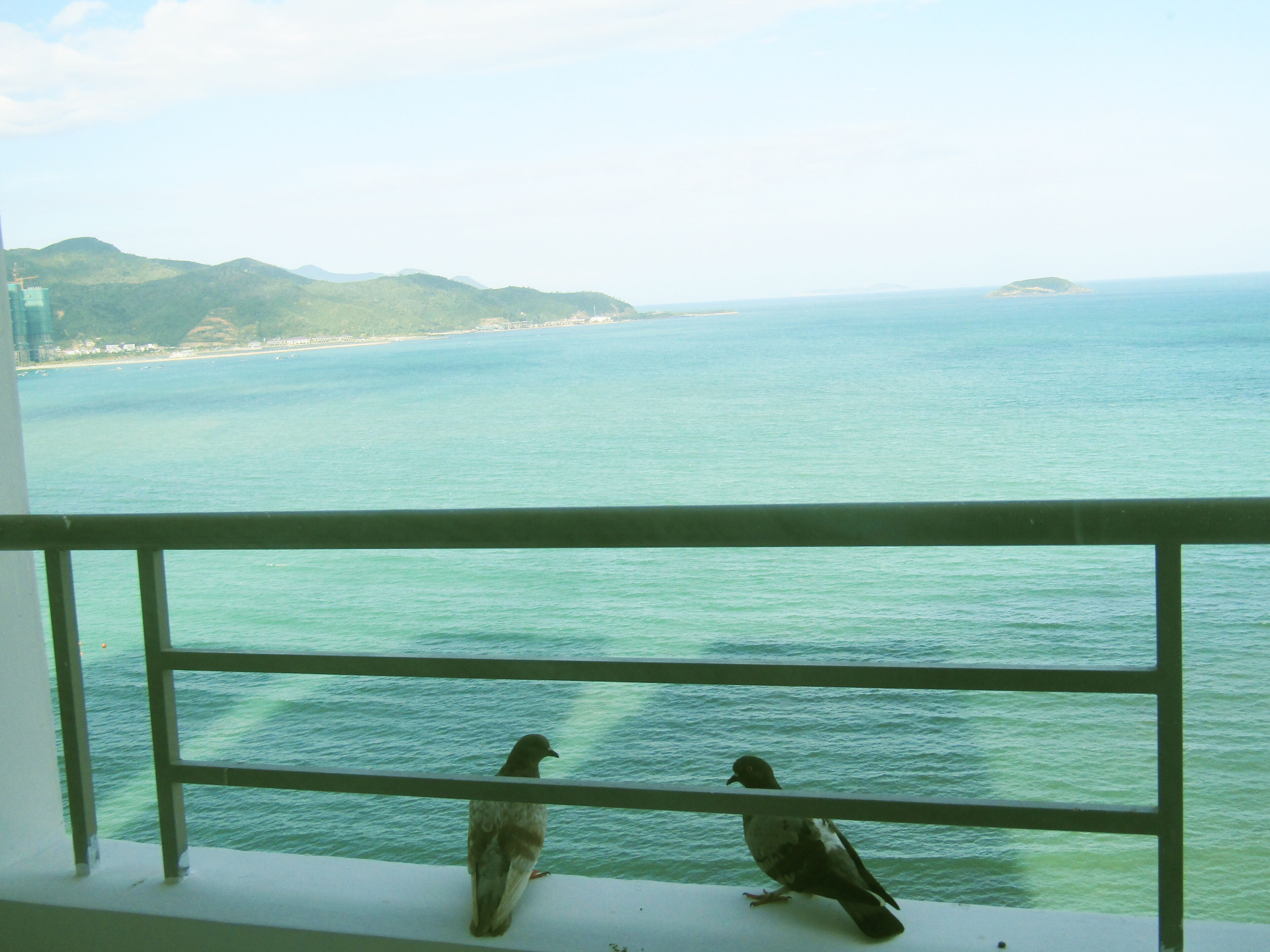 family apartment | beach/ocean view