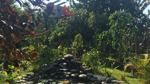 A garden with a pond, surrounded by rocks and various plants. - Joglo Java (Semarang)