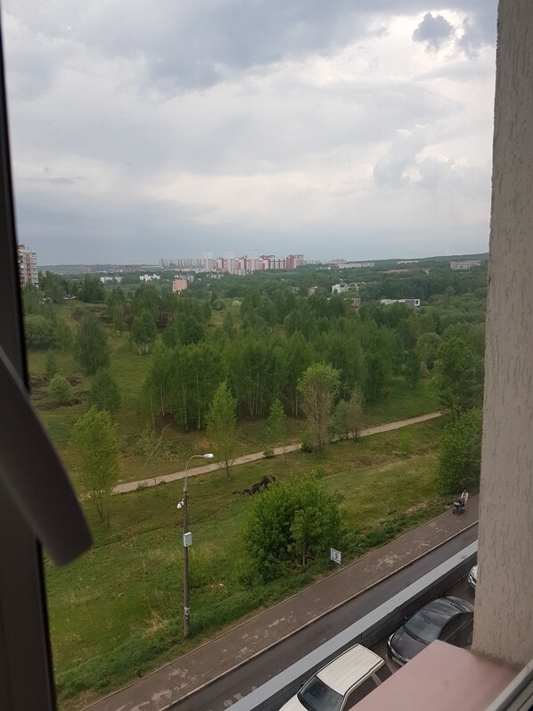 View from property - Lemanov HOUSE (Nizhny Novgorod)