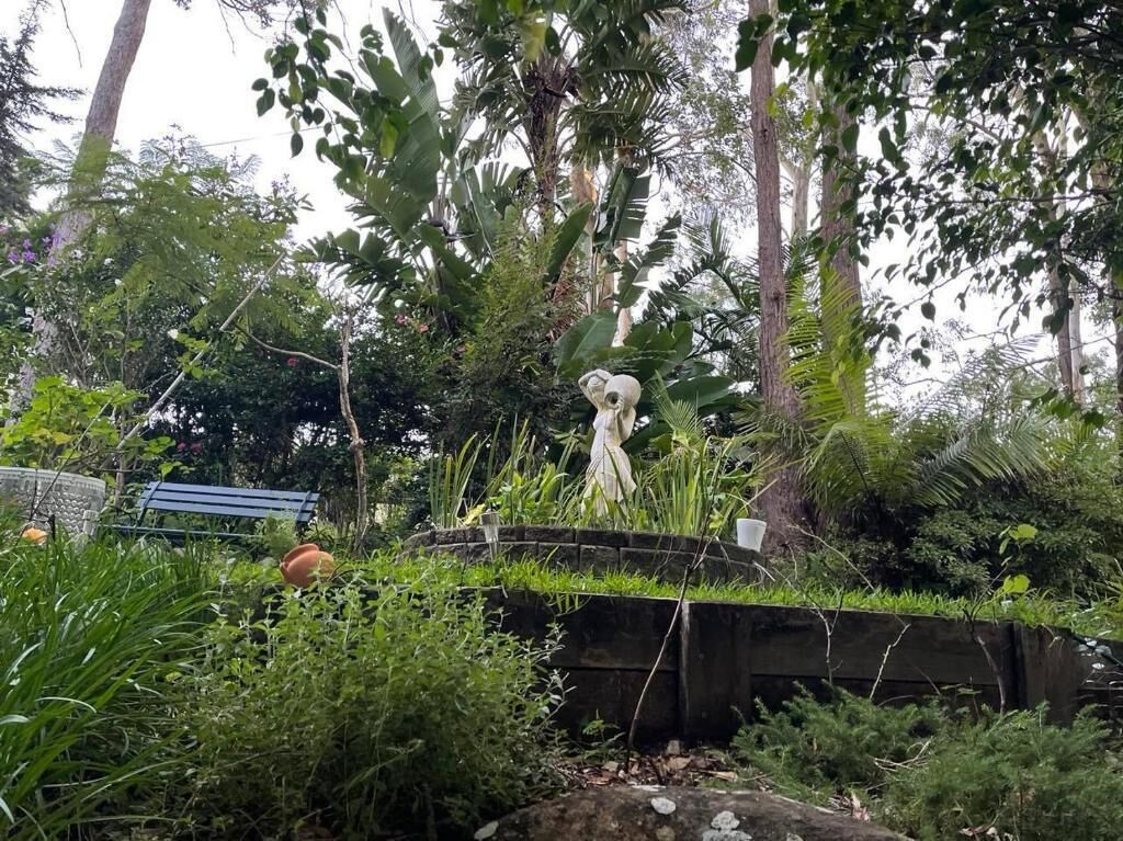 A garden with a statue, a stone bench, and various plants.