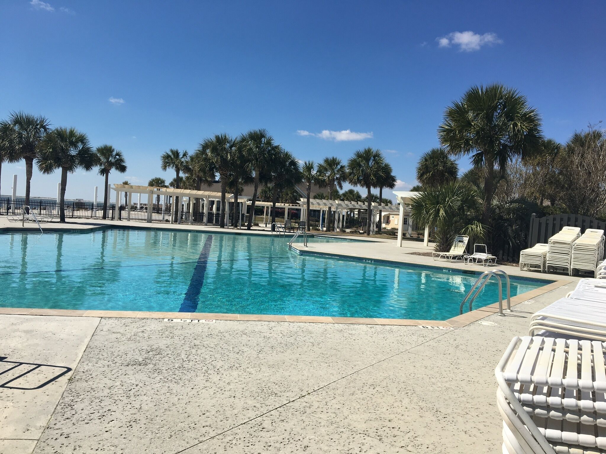 A swimming pool with lounge chairs and palm trees.