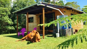 Ein rustikales Blockhaus mit Veranda, ein Hund liegt im Gras, und im Hintergrund steht ein Wassertank.