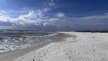 Plage à proximité, chaises longues, serviettes de plage