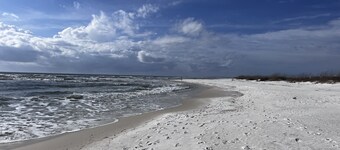 🏖✈️ Hangar #13 ✈️🏖Pool! Pet Friendly  Cottage in Mexico Beach 🐾 🐾 