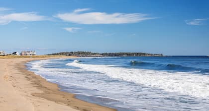 Driftwood Studio Beachfront cottage right in the Dunes