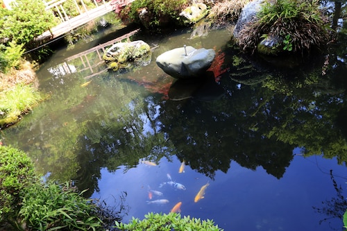 施設からの眺望