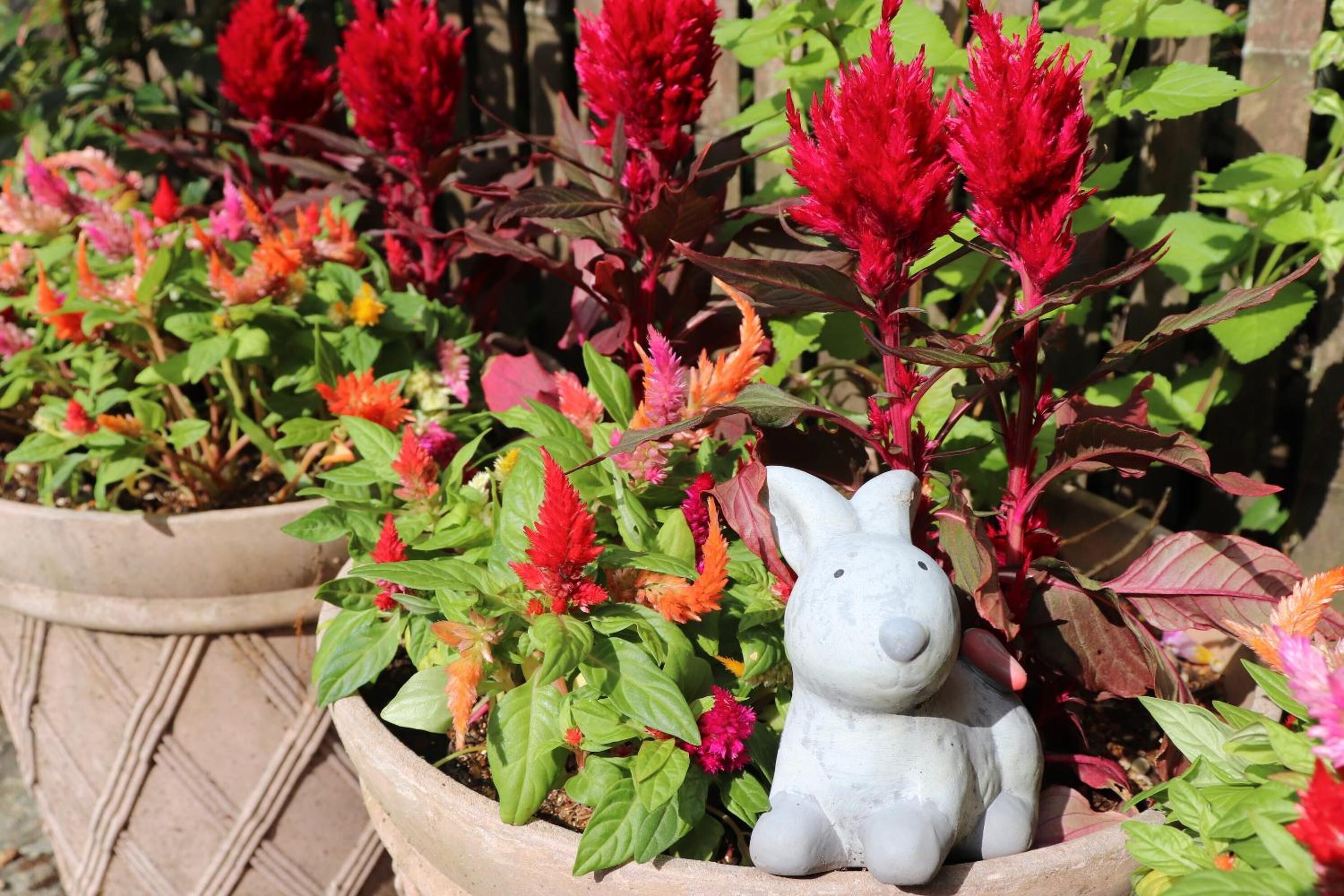 A garden with potted plants and a white ceramic rabbit statue.