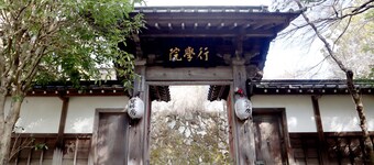 Shukubo Kakurinbo