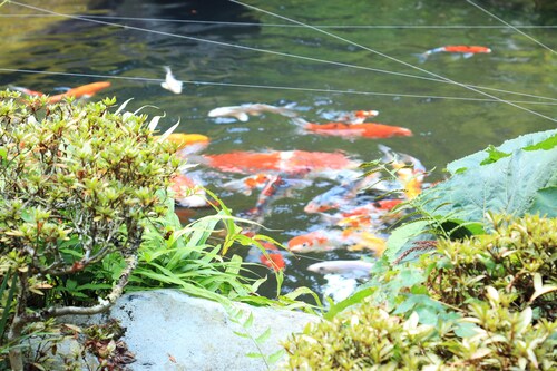 施設からの眺望