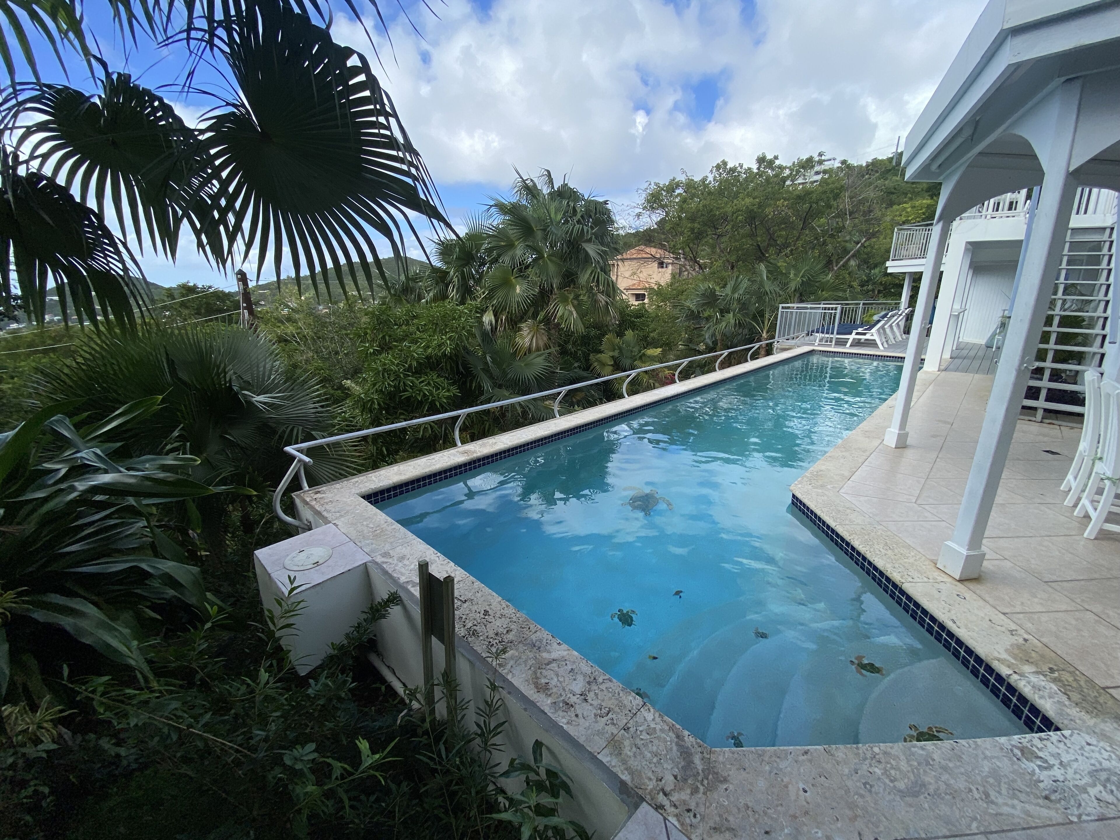 Utendørsbasseng og et svømmebasseng