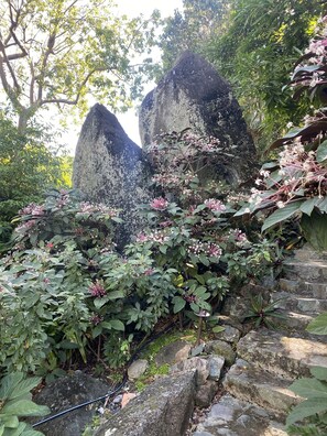 Overnattingsstedets uteområder