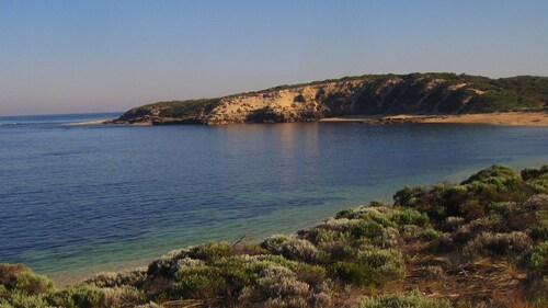 Dunescape Beach House ( Great family house / suit couples and Pet friendly)