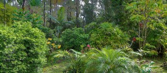 TROPICAL ANUENUE COTTAGE