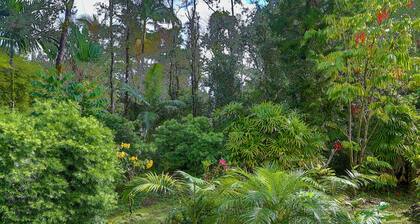 TROPICAL ANUENUE COTTAGE