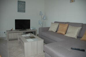 Flat-screen TV, video games, DVD player