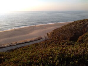 En strand med en träpromenad, en sandstrand och gles vegetation.