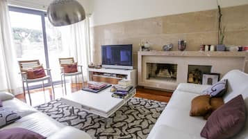 Smart-tv, een open haard, een dvd-speler en een muziekbibliotheek