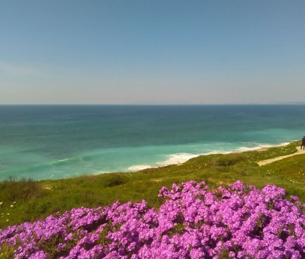 Perto da praia, toalhas de praia 