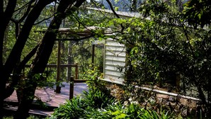A rustic cabin surrounded by lush greenery and a wooden deck. - Buttercuphill B&B (Warburton)