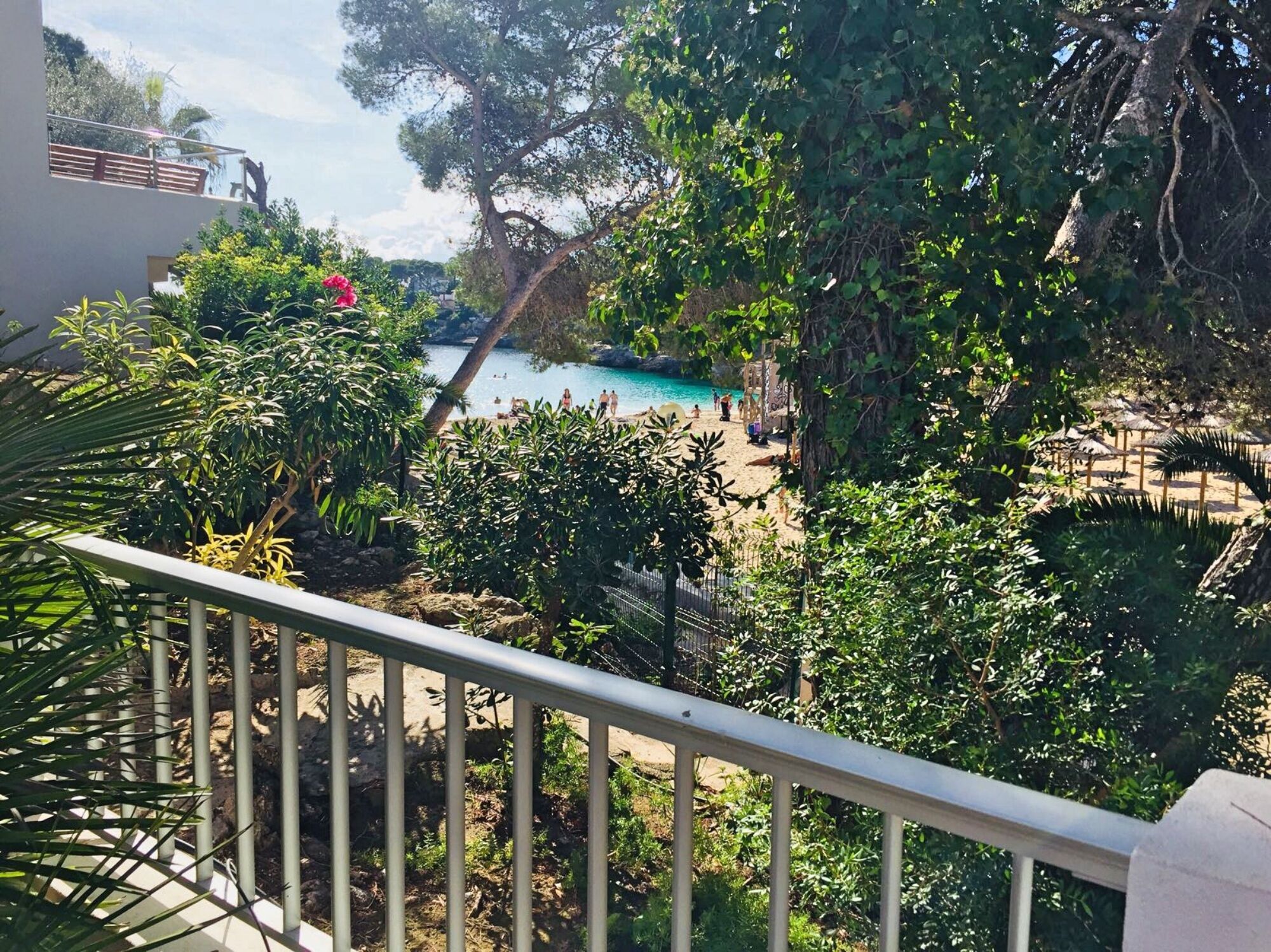 Una piscina rodeada de exuberante vegetación, un área cercada y una vista despejada de la piscina.