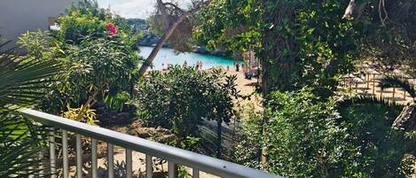 Una piscina rodeada de exuberante vegetación, un área cercada y una vista despejada de la piscina.