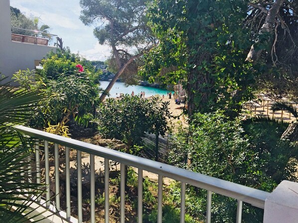 A pool surrounded by lush greenery, a fenced area, and a clear view of the pool.