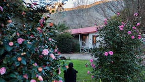 Een huis met een rood dak, omgeven door weelderige begroeiing en roze bloemen.