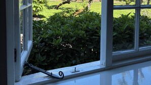A window with a view of a garden, a tree, and a building in the background.