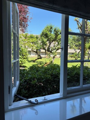 Una ventana con vista a un jardín, un árbol y un edificio al fondo.
