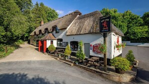 A traditional thatched-roof pub with a Red Lion sign, outdoor seating, and a car park.