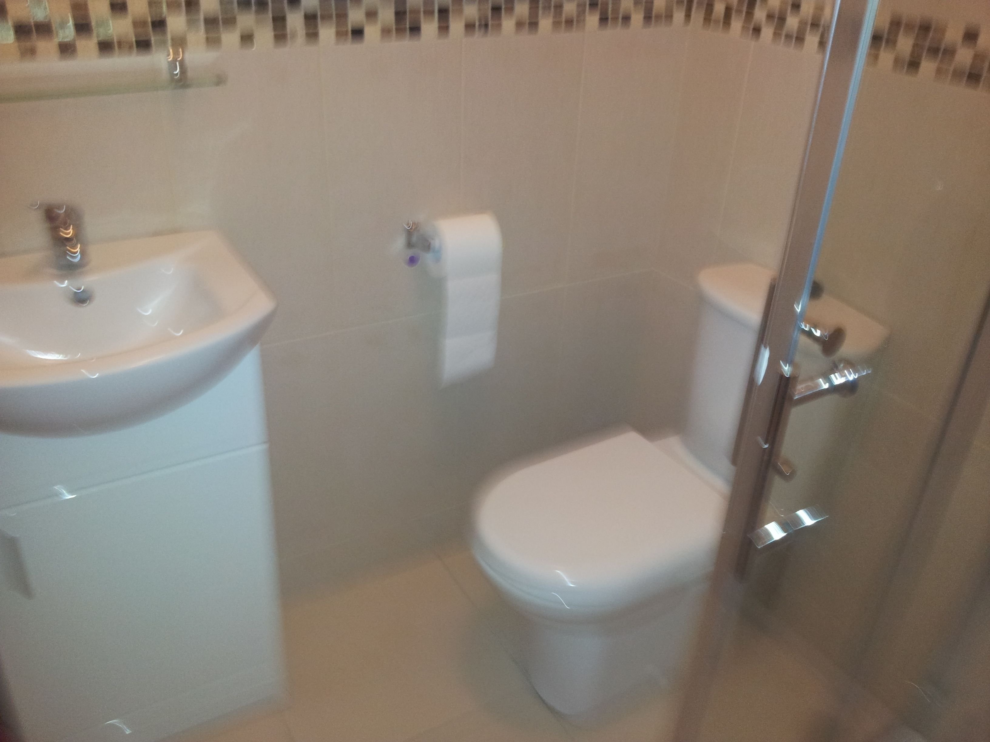 Une salle de bain avec un lavabo, des toilettes et une douche.
