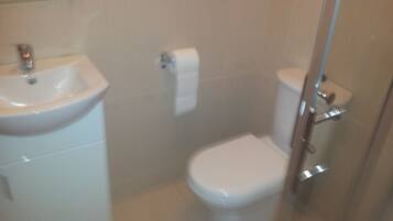 Une salle de bain avec un lavabo, des toilettes et une douche.