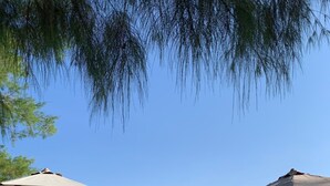 Une plage avec des chaises longues et des parasols, un ciel dégagé et l’océan en toile de fond.