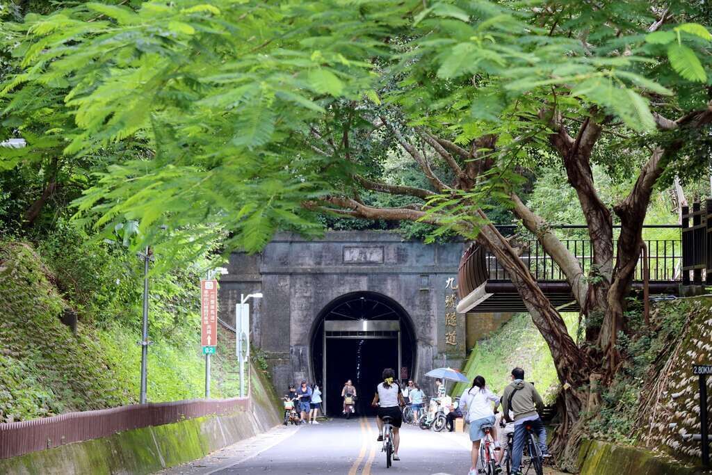 A tunnel entrance with a bike path, surrounded by greenery and a pedestrian bridge.